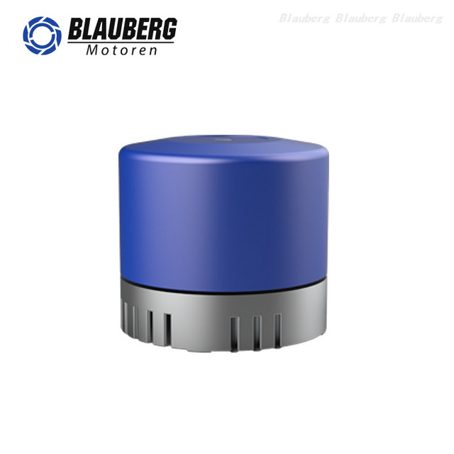 Blauberg External Rotor Motor 48v dc motor