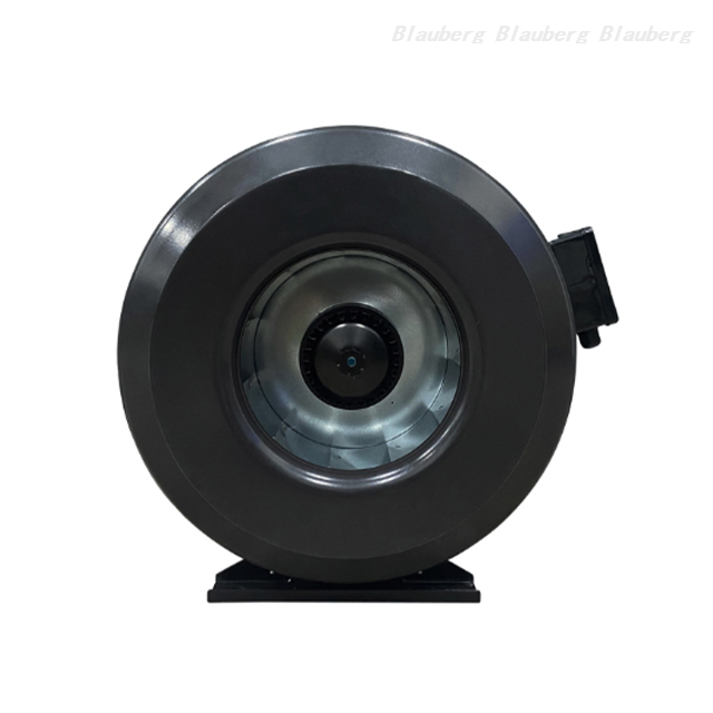 QL-P315D-2E-A01-01