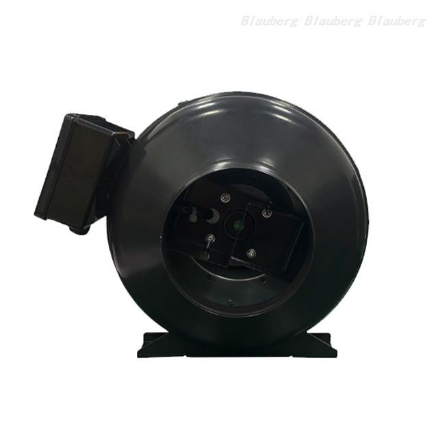 QL-P125D-2E-A01-01
