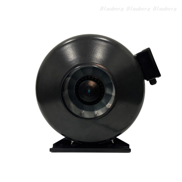 QL-P150D-2E-A01-01