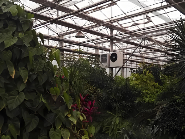 EC fan: a high-efficiency and intelligent tool for breeding farms
