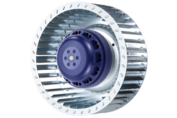 BL-F160A-4E-B01-01