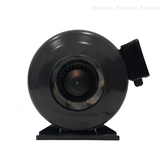 QL-P125D-2E-A01-01
