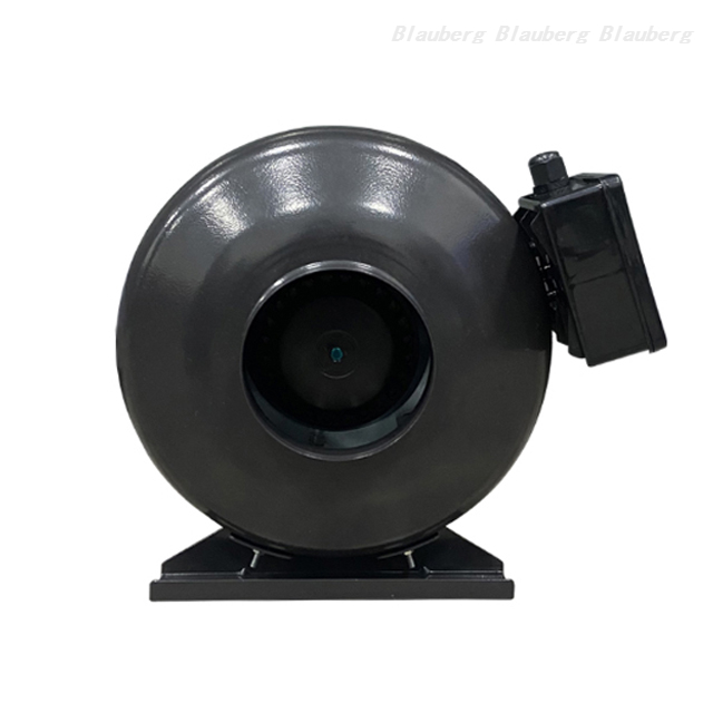 QL-P100D-2E-A01-01