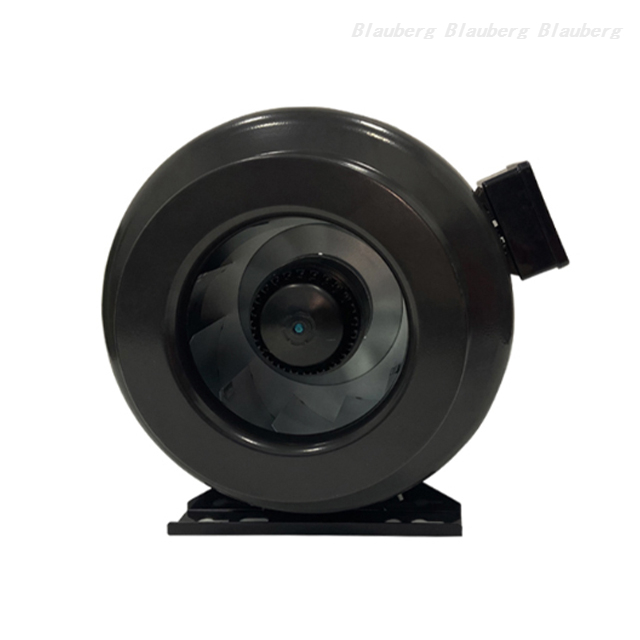 QL-P250D-2E-A01-01