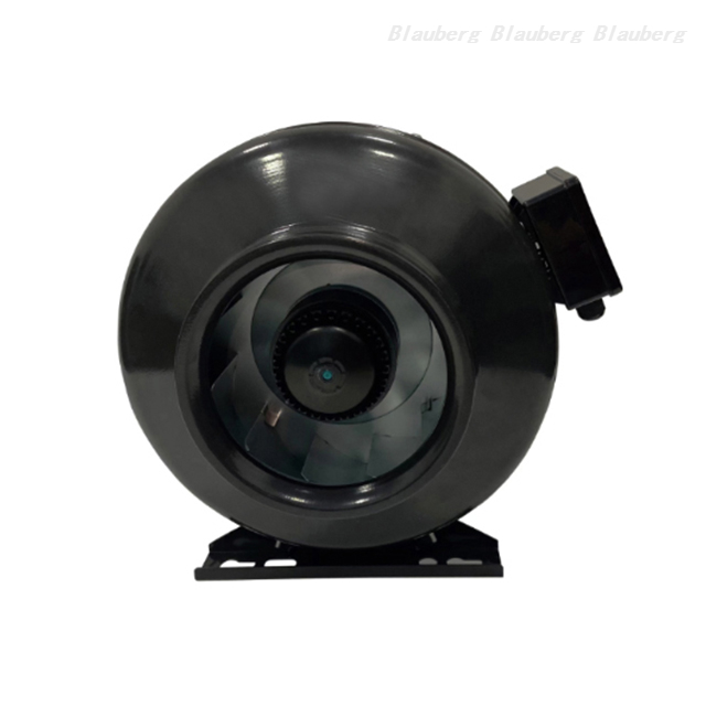QL-P200D-2E-A01-01