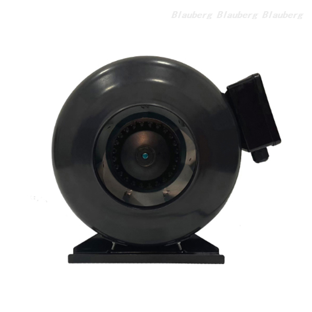 QL-P125D-2E-A01-01